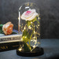 Enchanted Forever Rose Flower in Glass LED Light Christmas Decoration